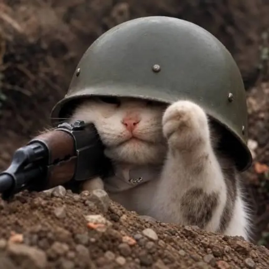 A white cat in an army helmet in a trench, saluting with one paw behind a rifle